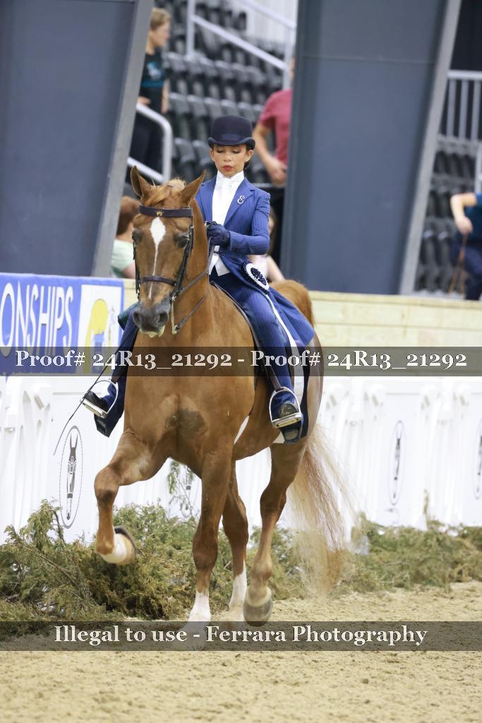 Proof 24R13_21292