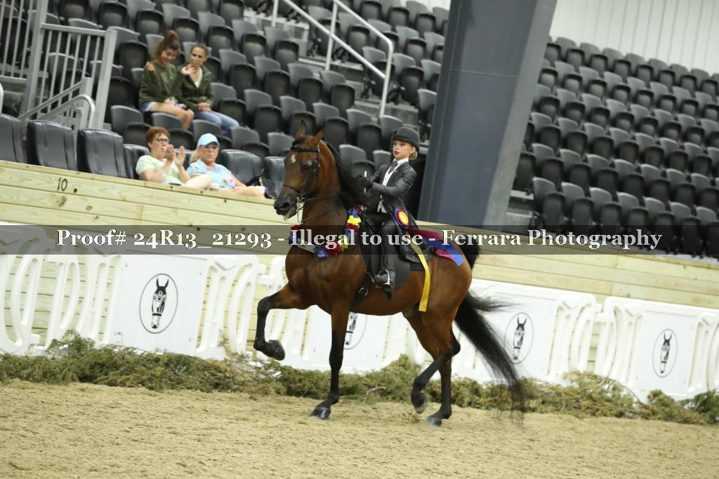Proof 24R13_21293