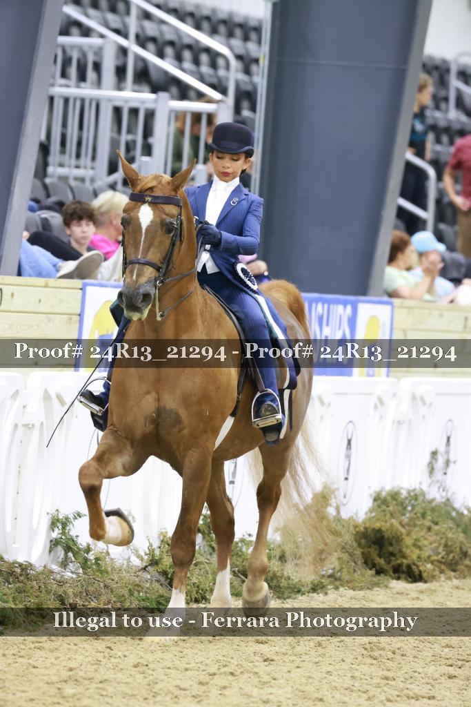 Proof 24R13_21294