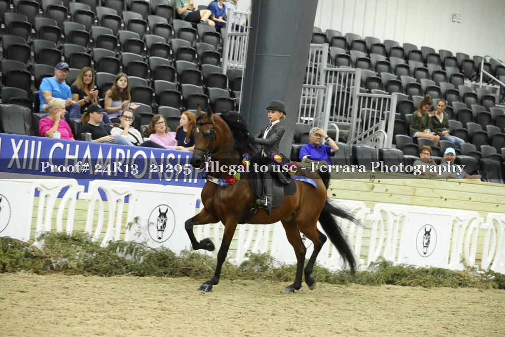 Proof 24R13_21295