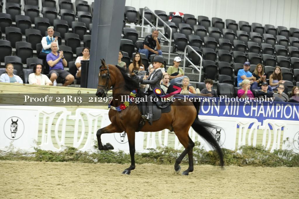 Proof 24R13_21297