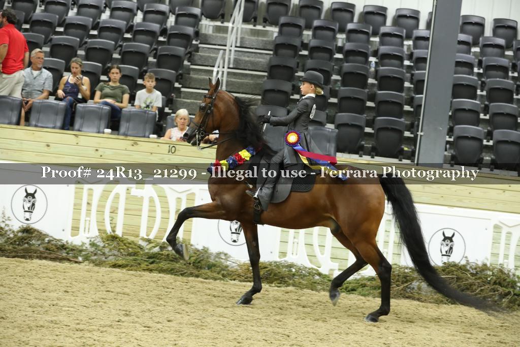 Proof 24R13_21299