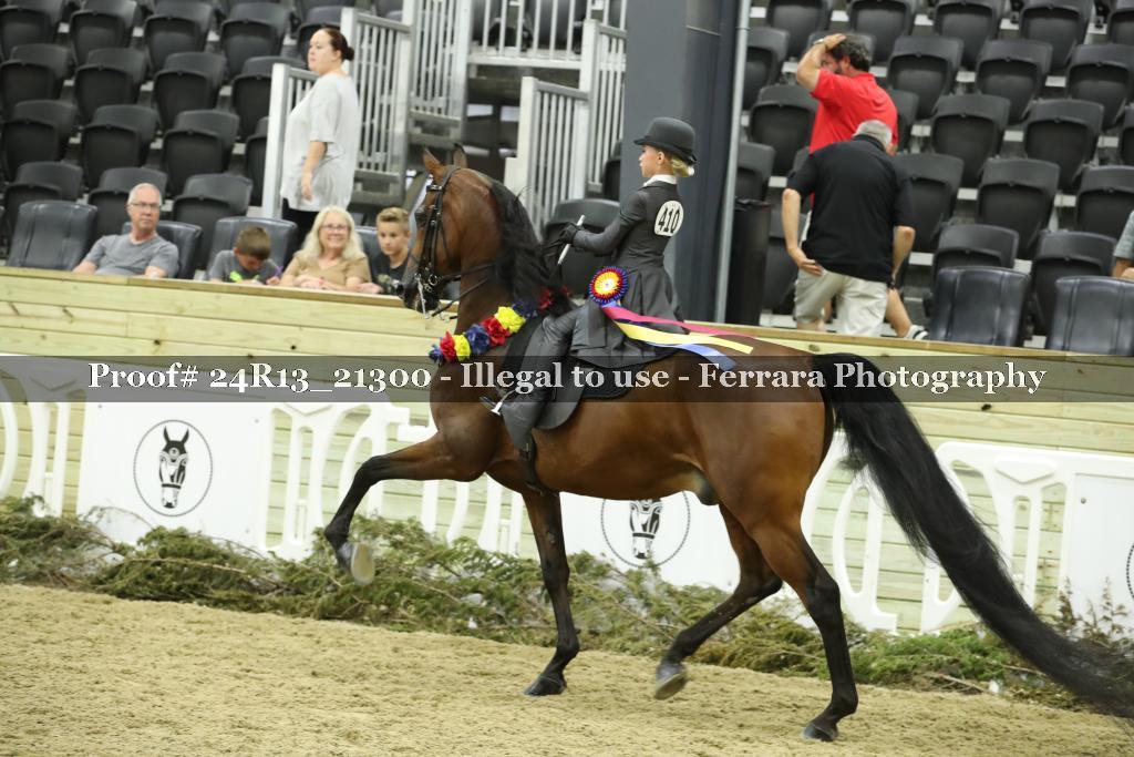 Proof 24R13_21300