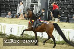 24R13_21300 proof