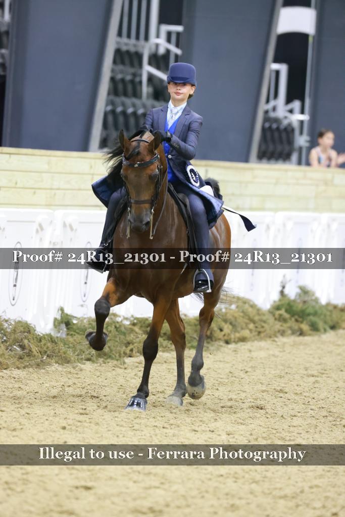 Proof 24R13_21301