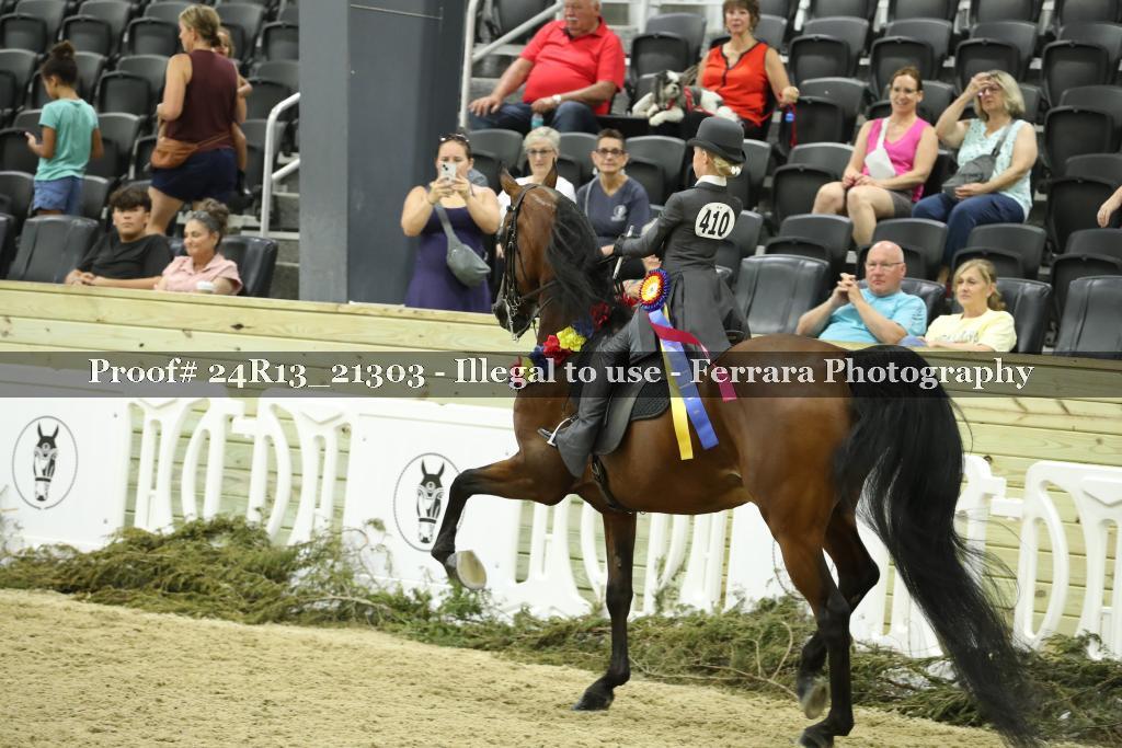 Proof 24R13_21303