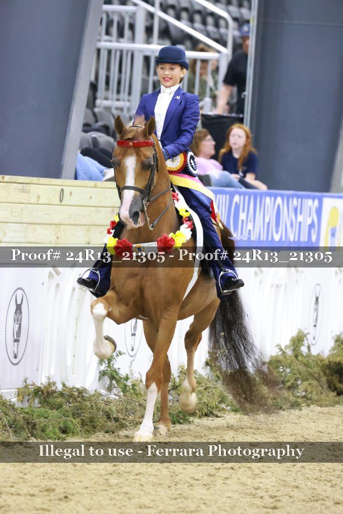 Proof 24R13_21305