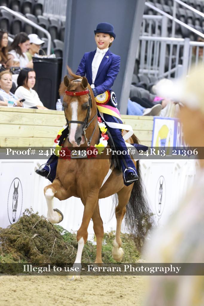 Proof 24R13_21306
