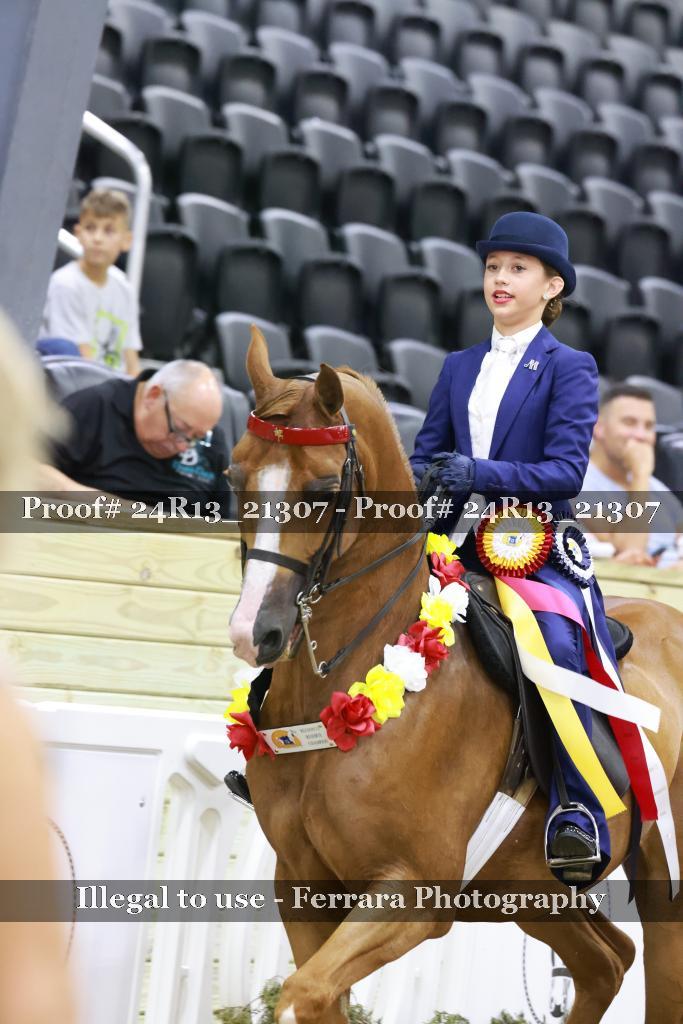 Proof 24R13_21307