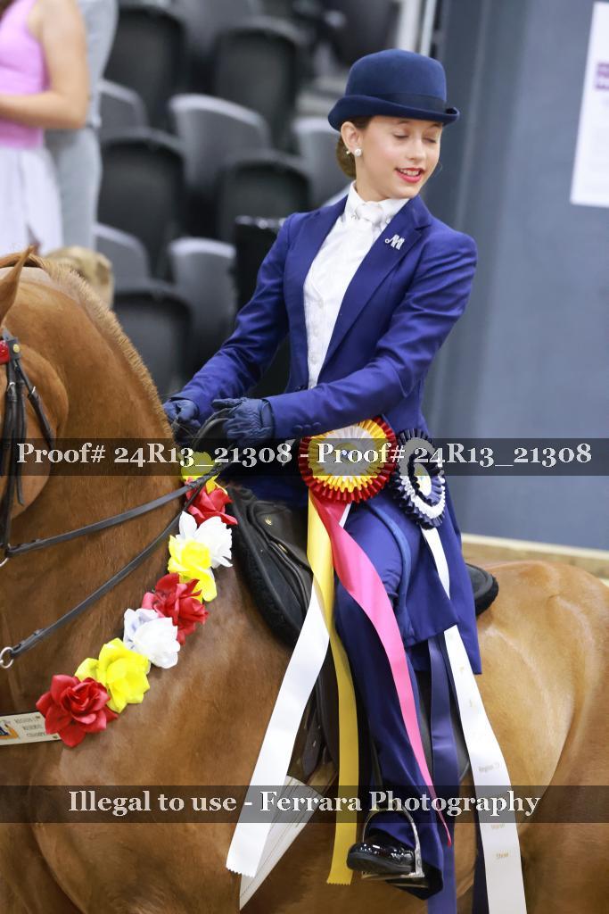 Proof 24R13_21308