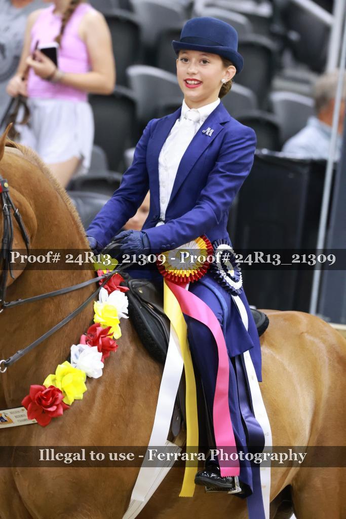 Proof 24R13_21309