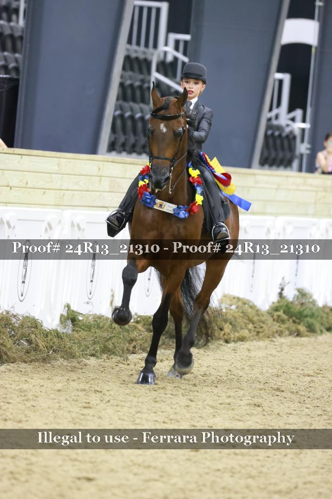 Proof 24R13_21310