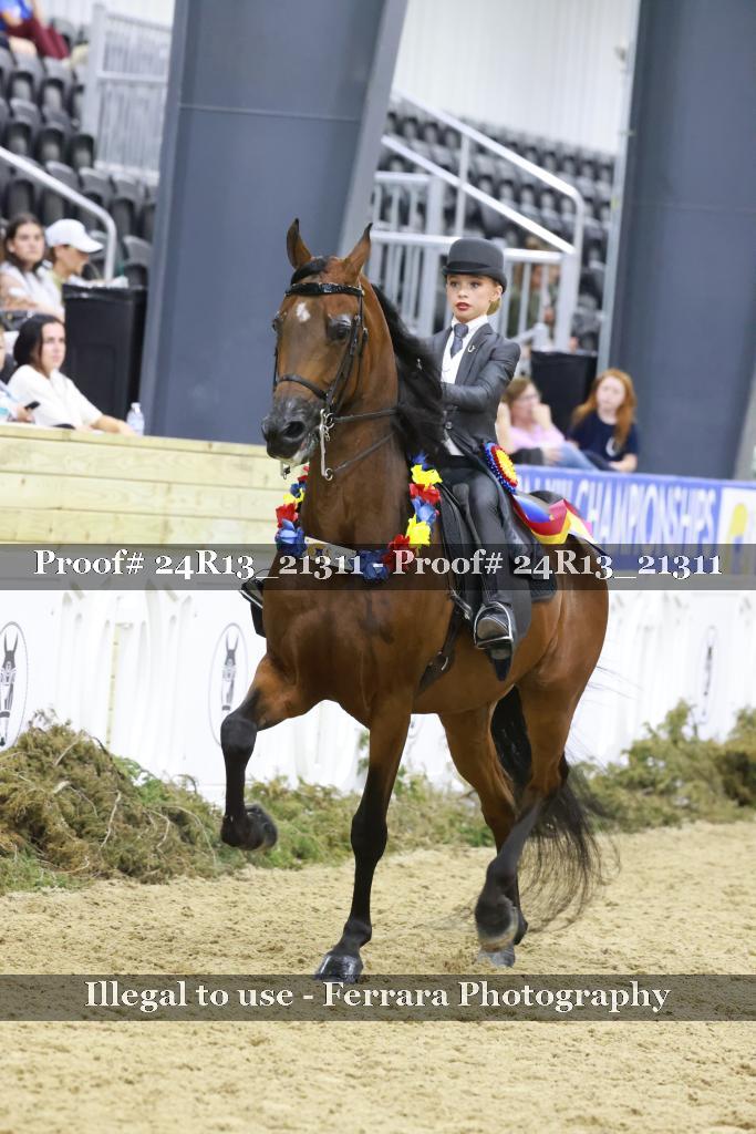 Proof 24R13_21311