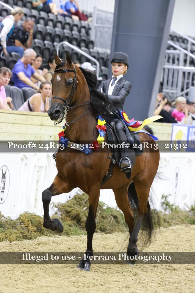 Proof 24R13_21312
