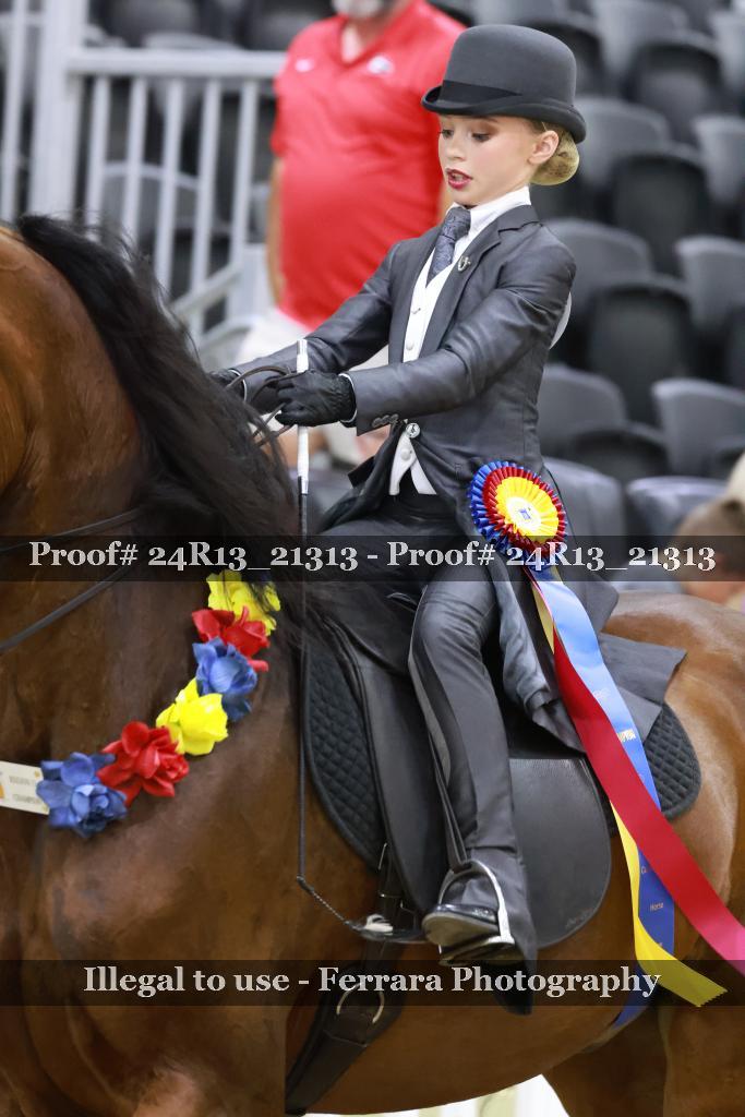 Proof 24R13_21313