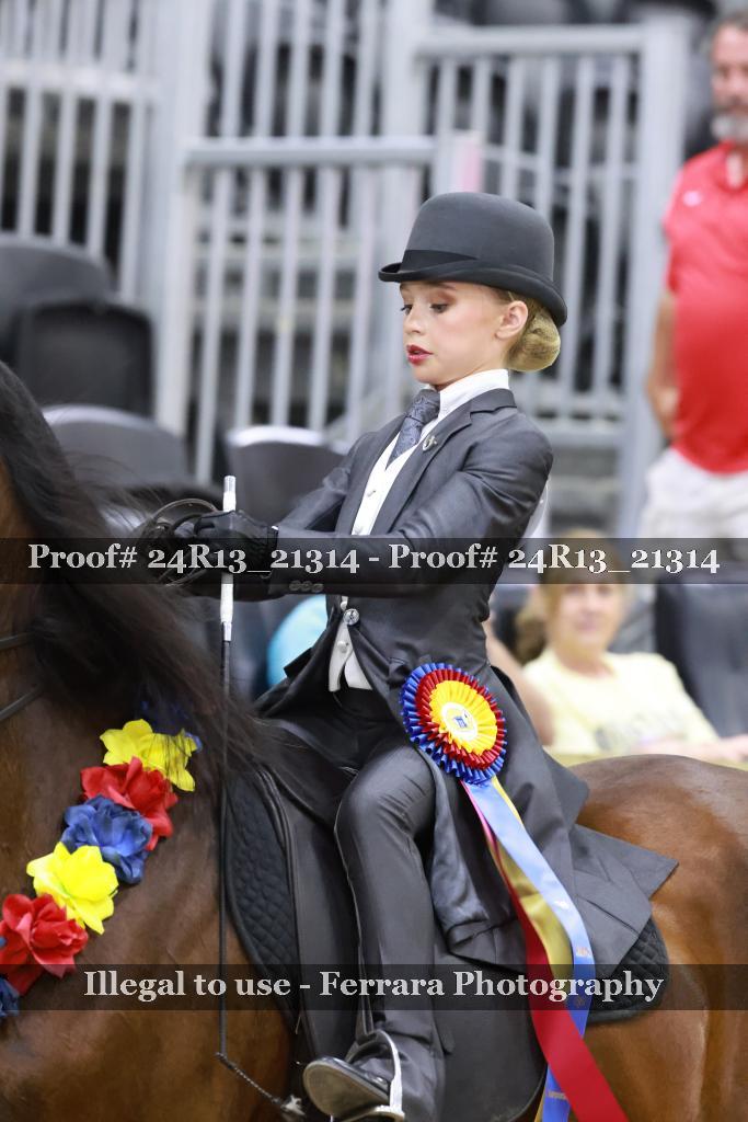 Proof 24R13_21314