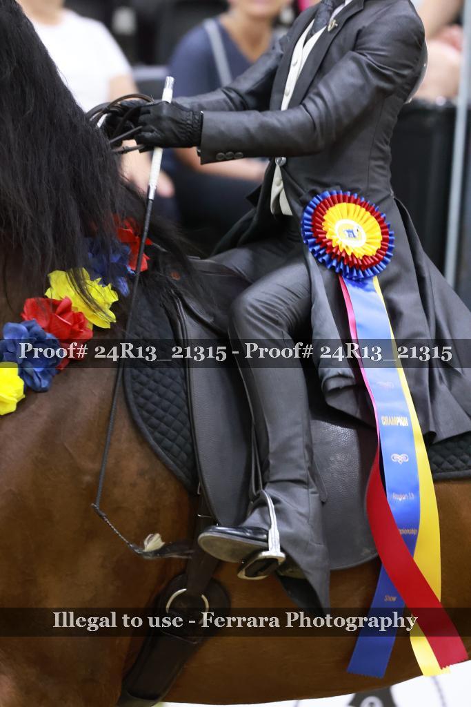 Proof 24R13_21315