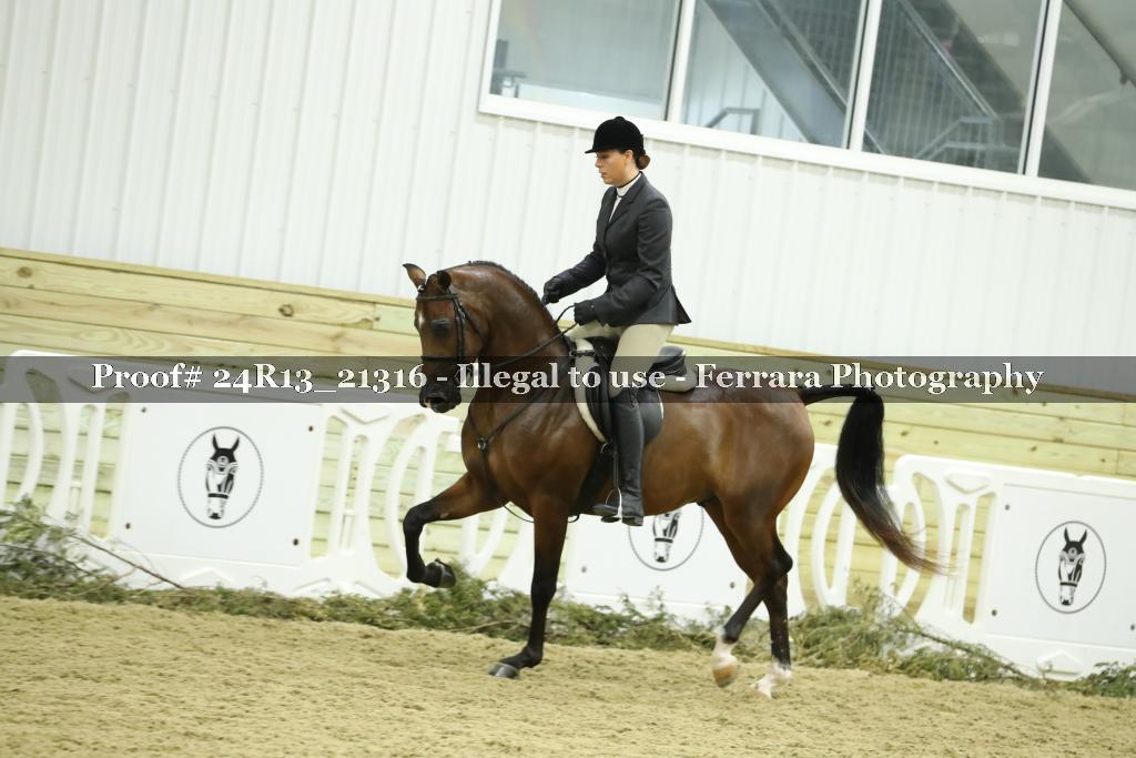 Proof 24R13_21316