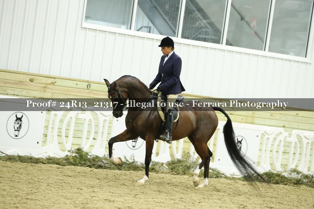 Proof 24R13_21317