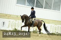 24R13_21317 proof