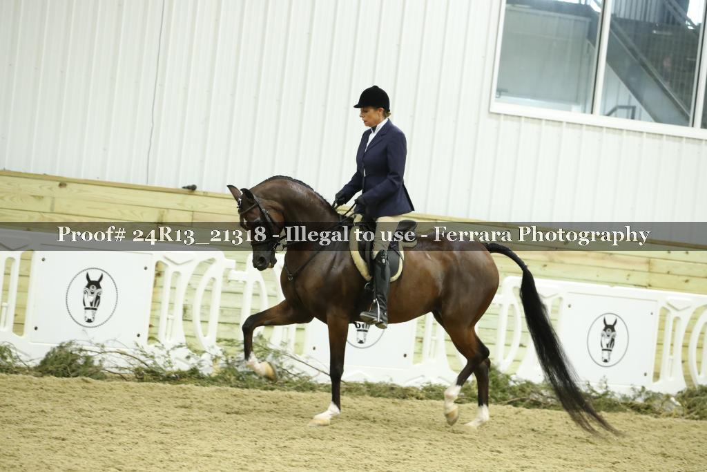 Proof 24R13_21318