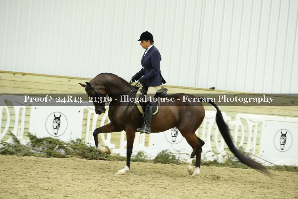 Proof 24R13_21319