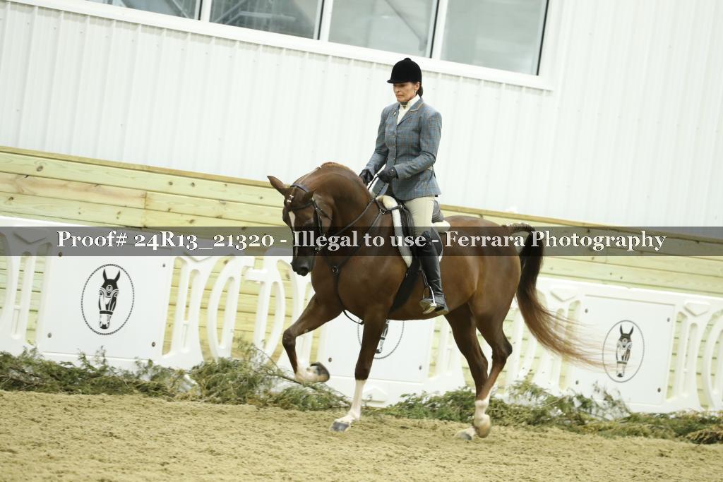 Proof 24R13_21320