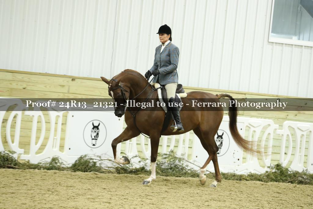 Proof 24R13_21321