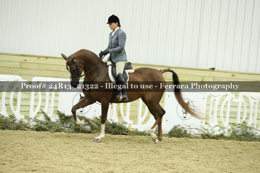 Proof 24R13_21322