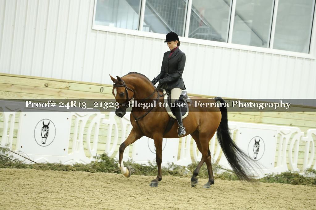 Proof 24R13_21323