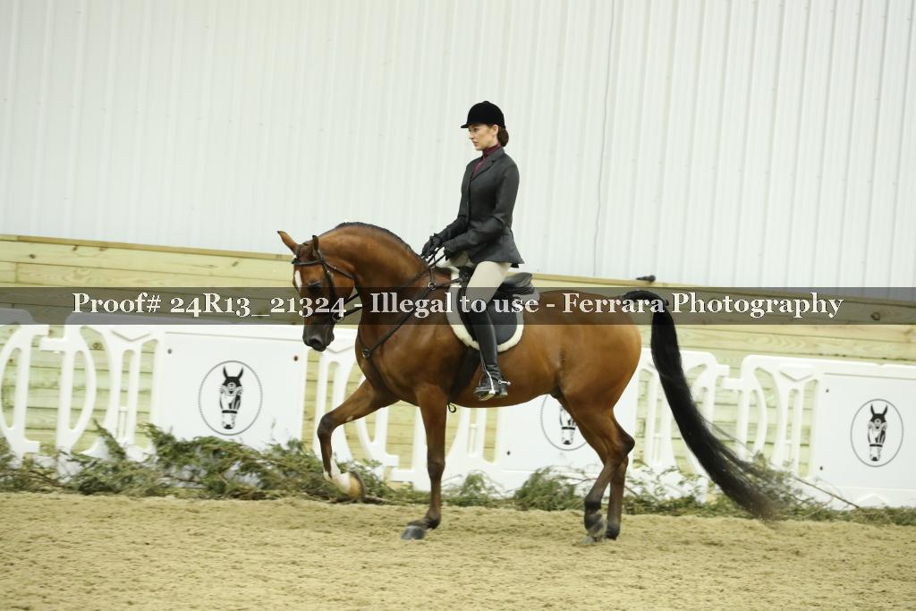 Proof 24R13_21324
