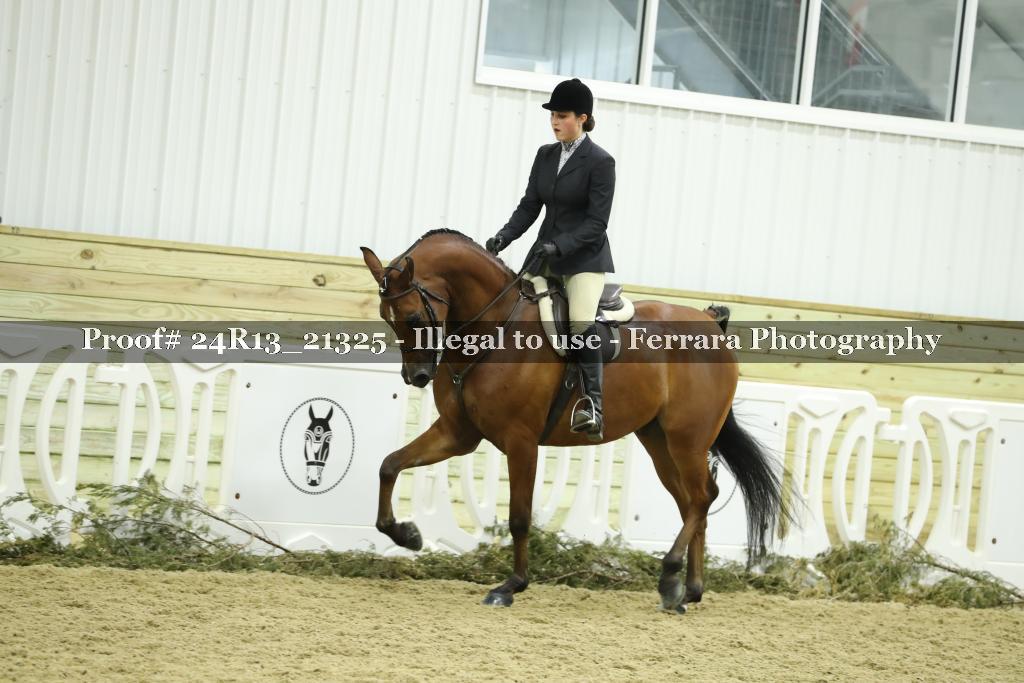 Proof 24R13_21325