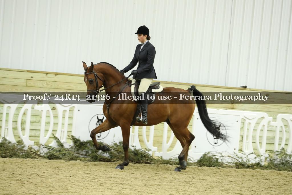 Proof 24R13_21326