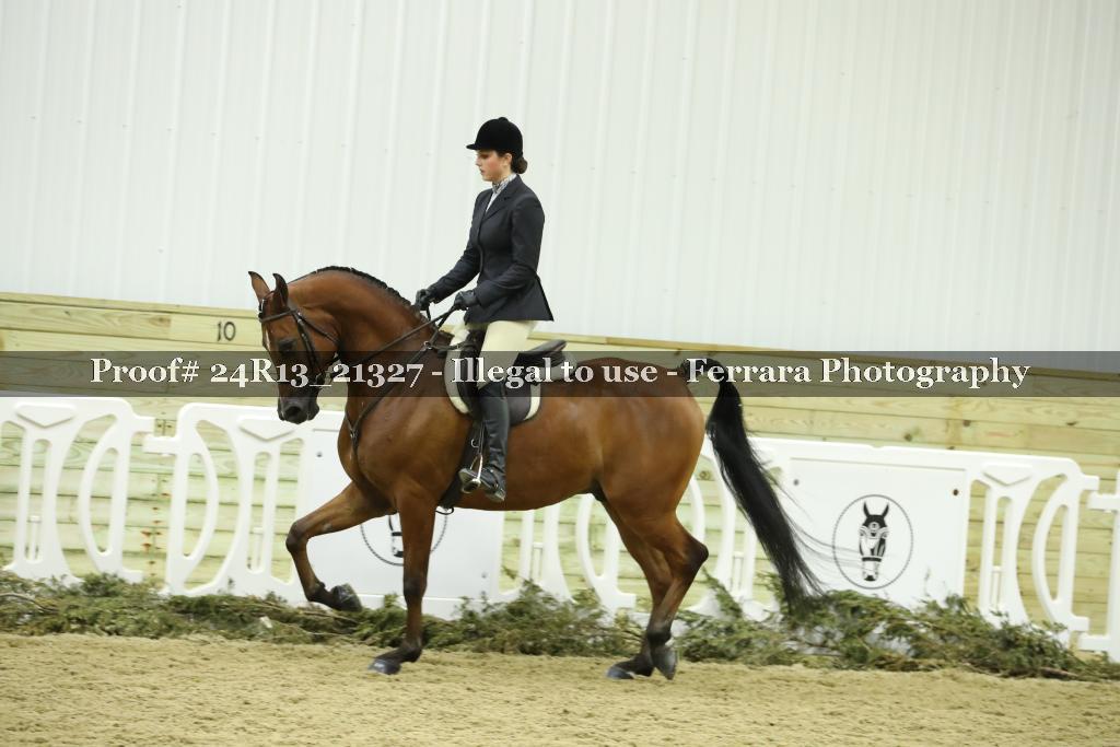 Proof 24R13_21327