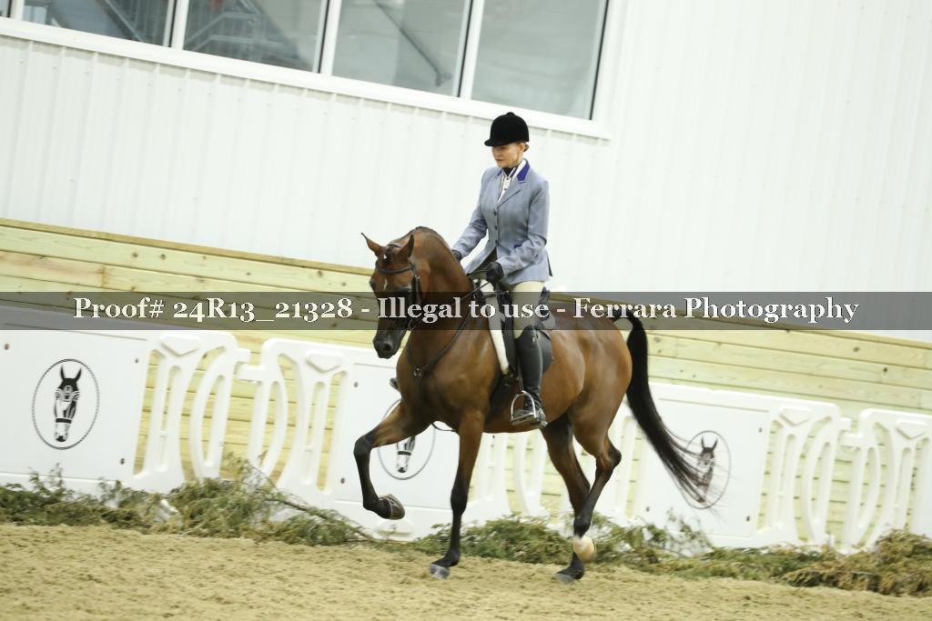 Proof 24R13_21328
