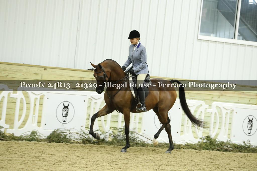 Proof 24R13_21329