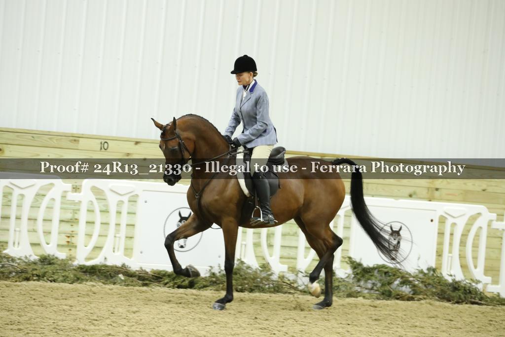 Proof 24R13_21330