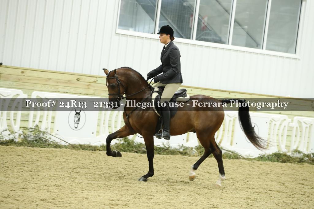 Proof 24R13_21331
