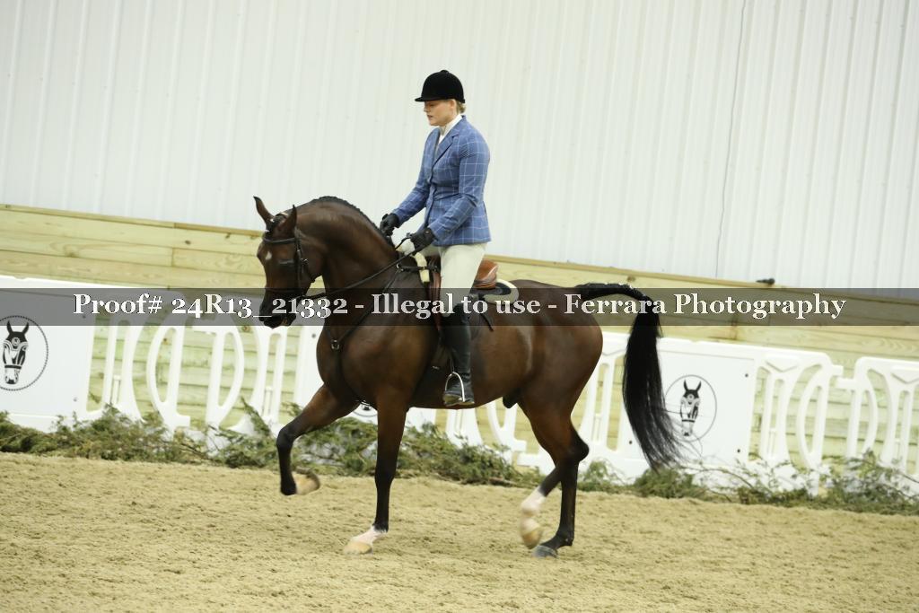 Proof 24R13_21332