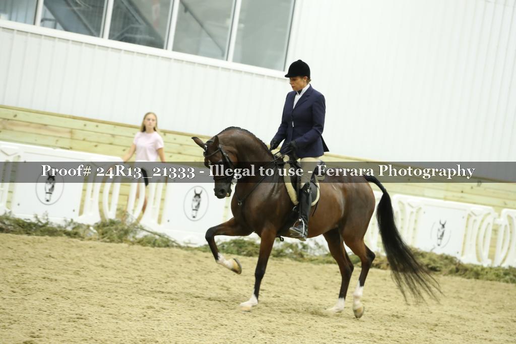 Proof 24R13_21333