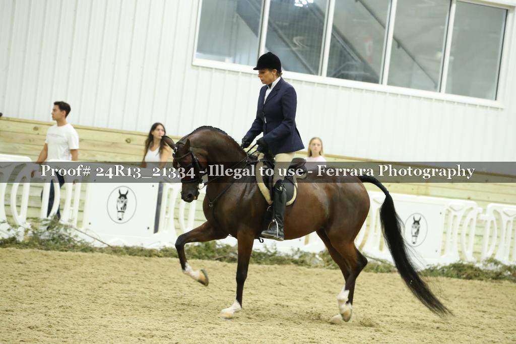 Proof 24R13_21334