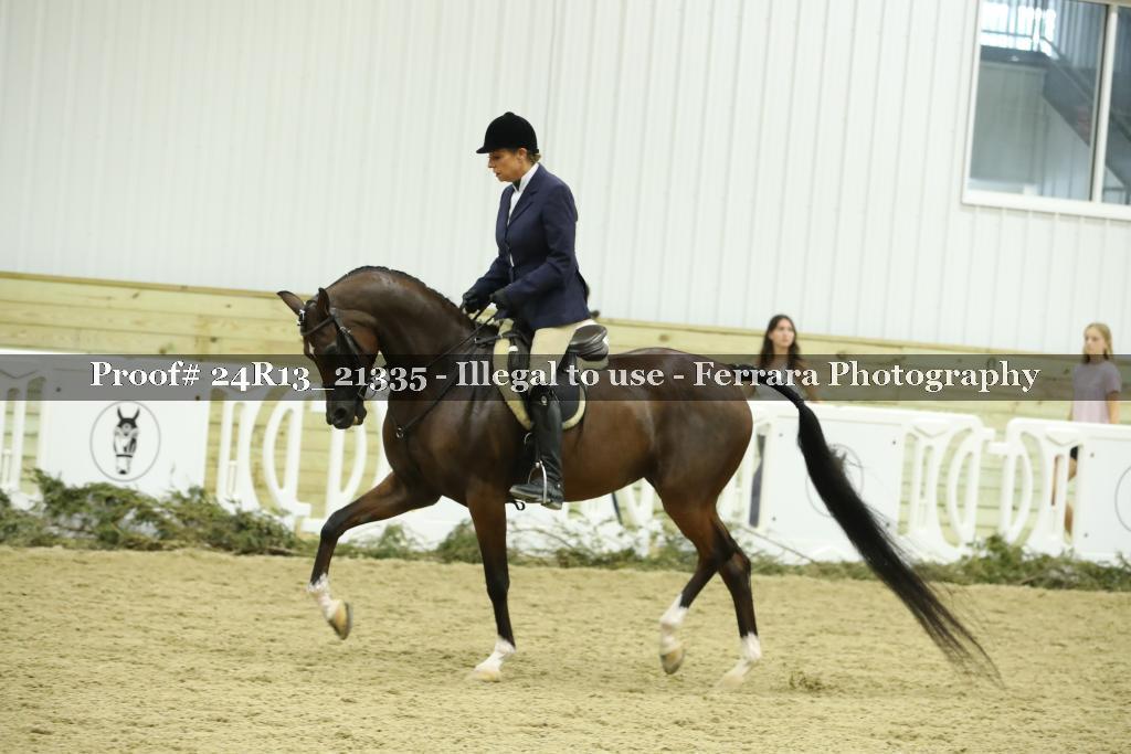 Proof 24R13_21335