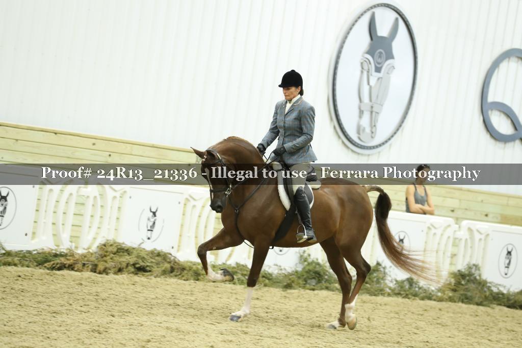 Proof 24R13_21336