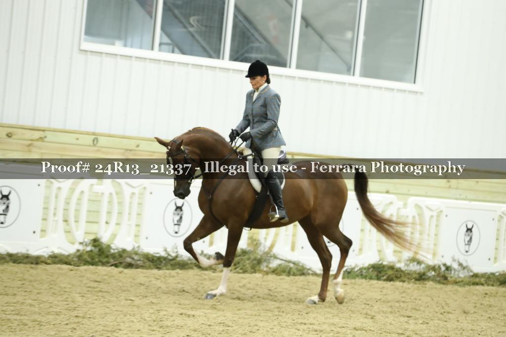 Proof 24R13_21337