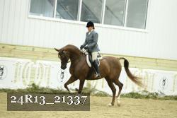 24R13_21337 proof