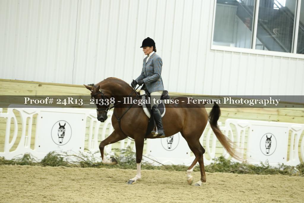 Proof 24R13_21338