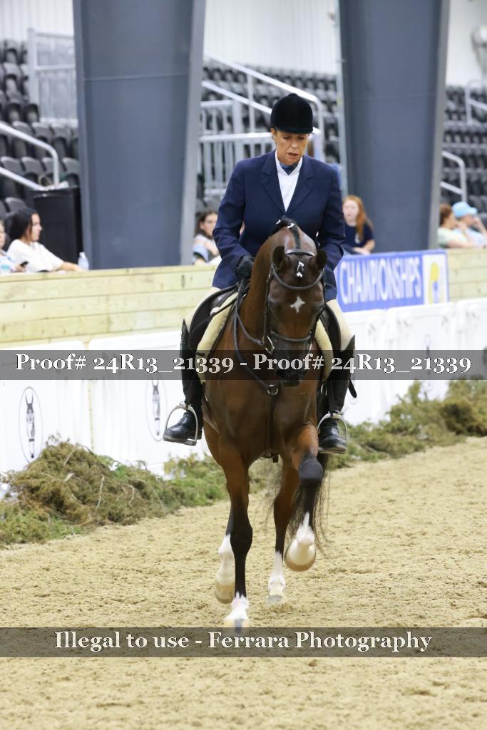 Proof 24R13_21339