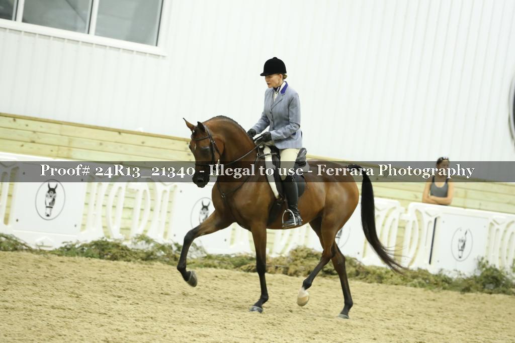 Proof 24R13_21340