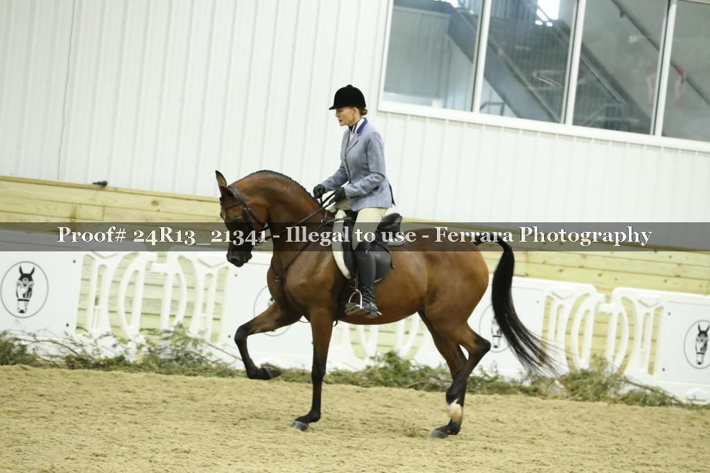 Proof 24R13_21341