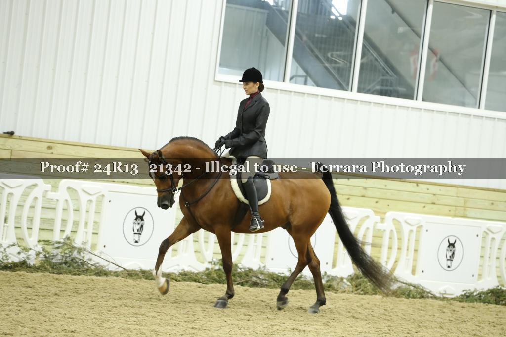 Proof 24R13_21342